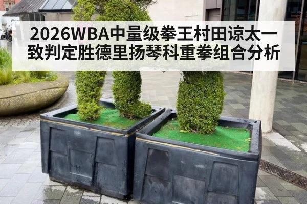 2026WBA中量级拳王村田谅太一致判定胜德里扬琴科重拳组合分析